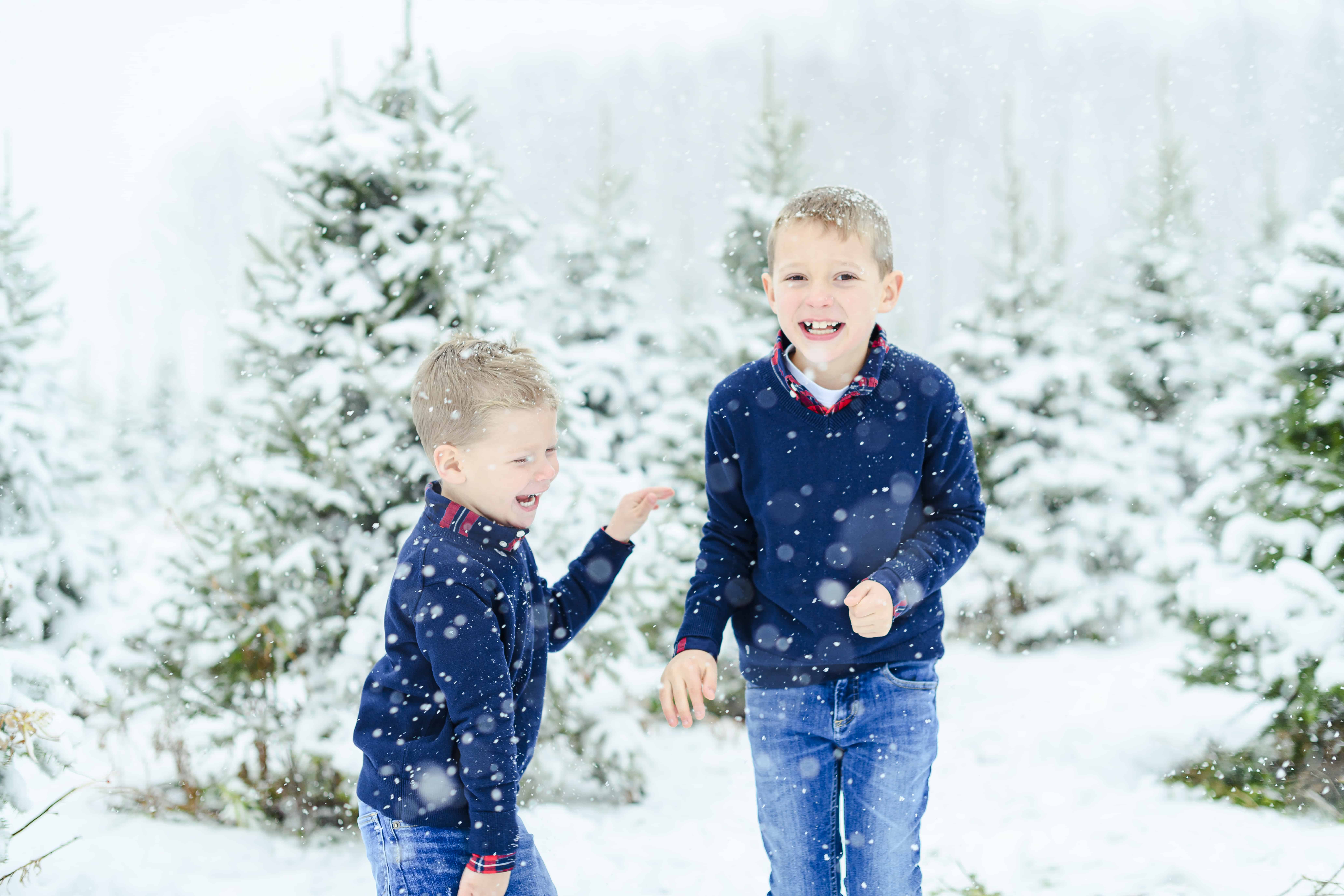 boys playing in the snow at tree farm in waterloo